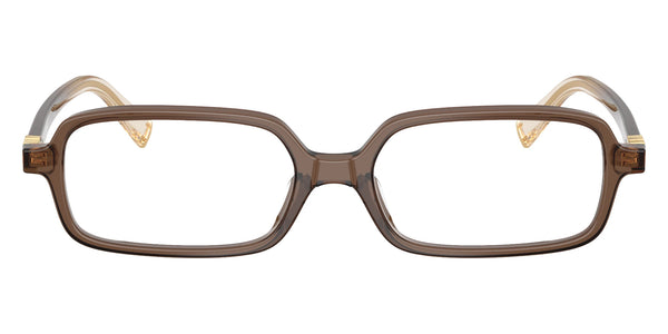 Brown Transparent / 51-16-140