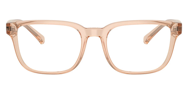 Shiny Transparent Brown / 54-19-145