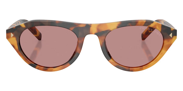 Cinnamon Tortoise / Dark Pink Polarized / 51-21-145