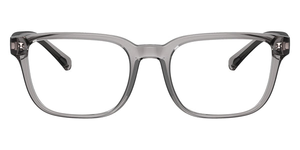 Shiny Transparent Gray / 54-19-145