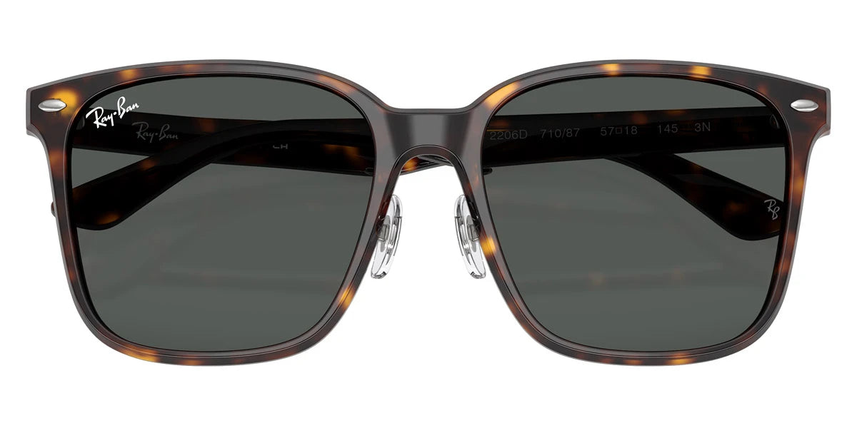 Ray-Ban - RB2206D