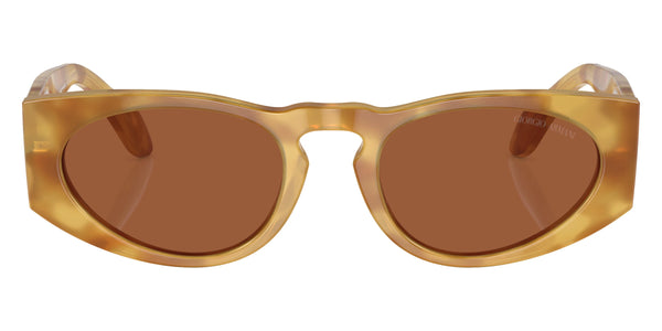 Yellow Havana / Dark Brown / 51-20-145