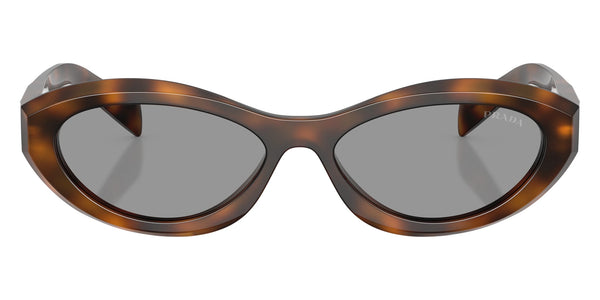 Juniper Tortoise / Gray / 55-16-145