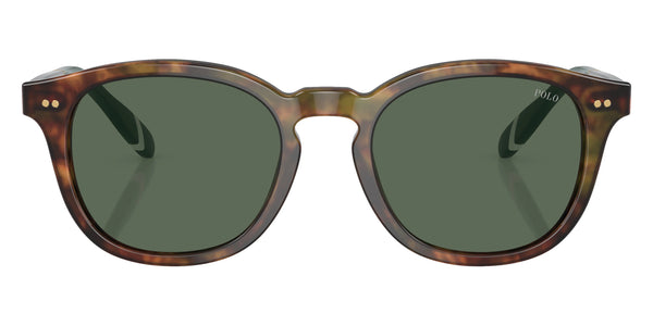 Shiny Brown Tortoise/Green / Bottle Green / 52-20-145