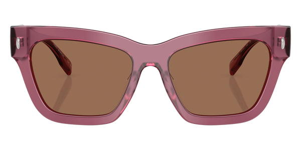 Berry Transparent / Dark Brown / 54-17-140