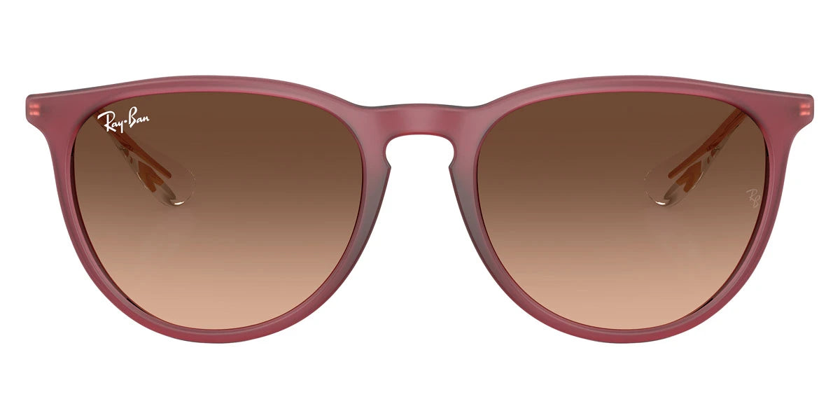 Ray-Ban - Erika RB4171