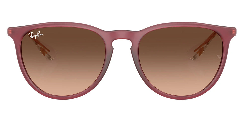 Ray-Ban - Erika RB4171