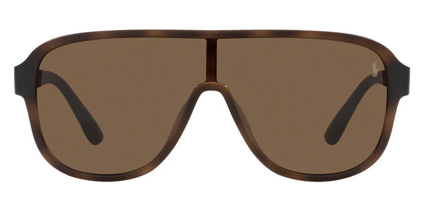 Matte Havana Brown / Brown / 134-0-145