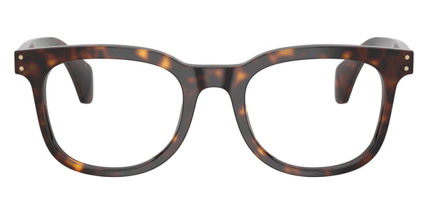 Shiny Havana / 48-20-145