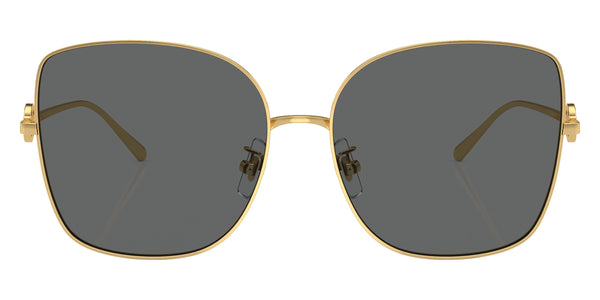 Shiny Gold / Dark Gray / 60-16-145