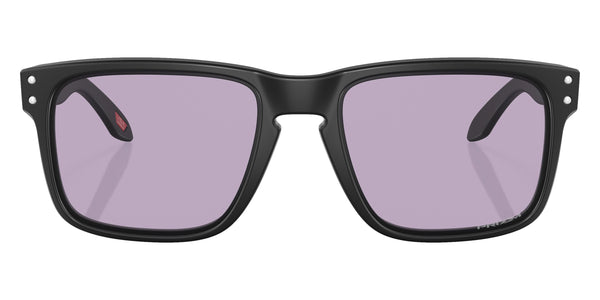 Matte Black / Prizm Slate / 56-17-138