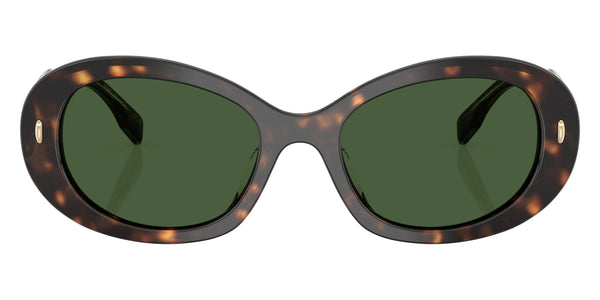 Dark Tortoise / Dark Green / 53-19-140