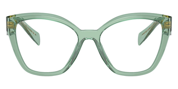 Transparent Sage/Salvia Trasparent / 52-17-145