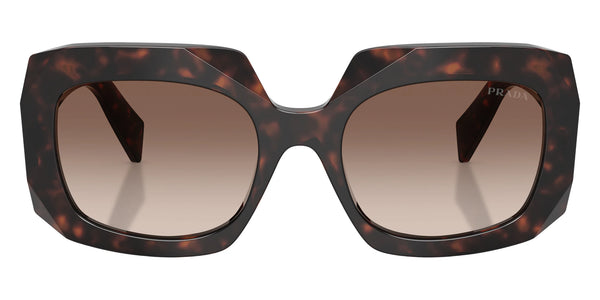 Root Tortoise / Brown Gradient / 55-19-145