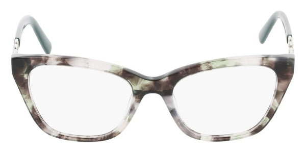 Forest Tortoise / 53-18-140