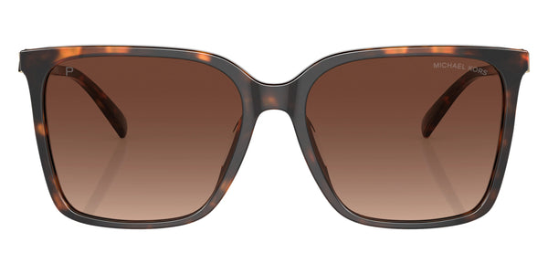 Dark Tortoise / Brown Gradient Polarized / 56-16-140