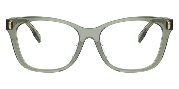 Transparent Sage / 51-16-140