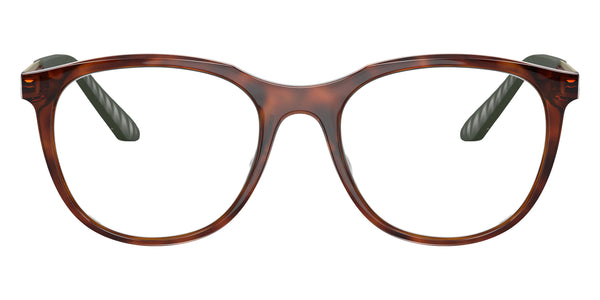 Tortoise/Gold / 50-19-148