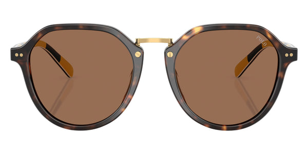 Shiny Dark Havana/Stripes / Dark Brown / 53-19-145