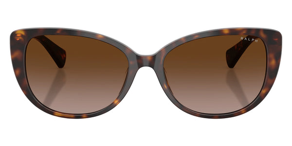 Shiny Dark Havana / Gradient Brown / 56-16-145