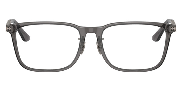 Transparent Gray/Antique Gunmetal / 55-17-145