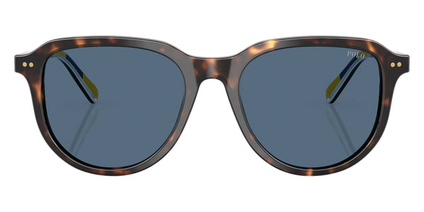 Shiny Dark Havana / Dark Blue / 53-18-145