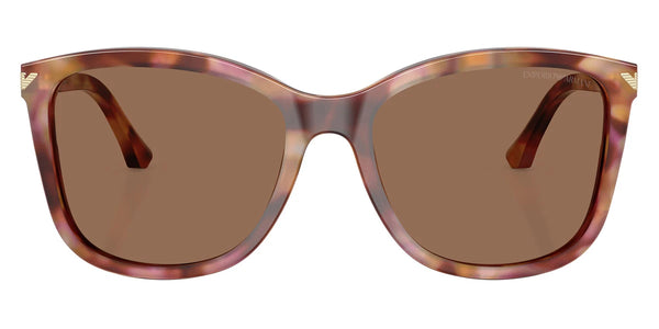 Shiny Havana Red / Dark Brown / 56-18-140