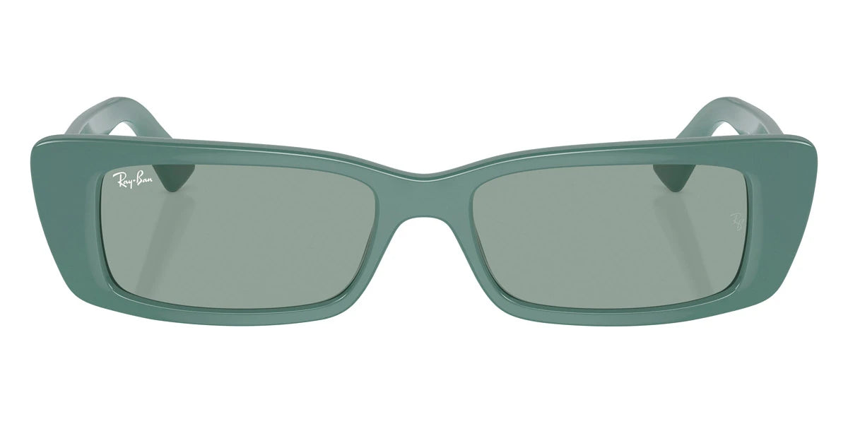 Ray-Ban - Teru RB4425F