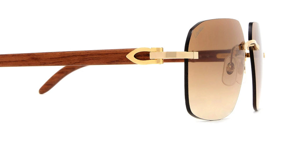 Cartier - CT0041RS C Décor