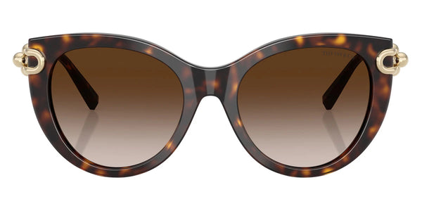 Havana/Pale Gold / Brown Gradient / 53-19-140