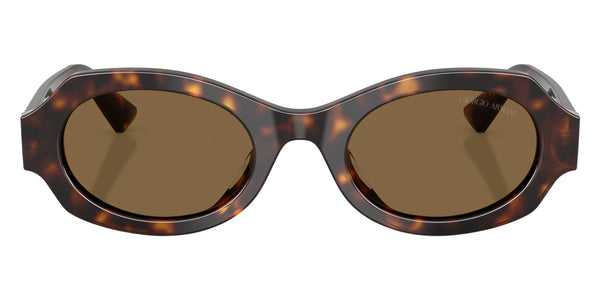 Havana / Brown / 49-21-140