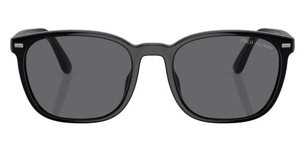 Shiny Black / Polarized Gray / 55-19-145