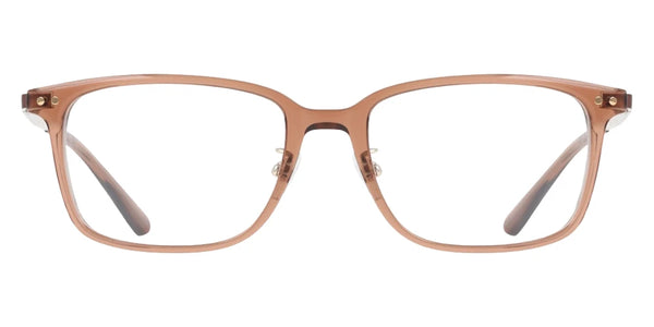 Transparent Brown / 53-18-145