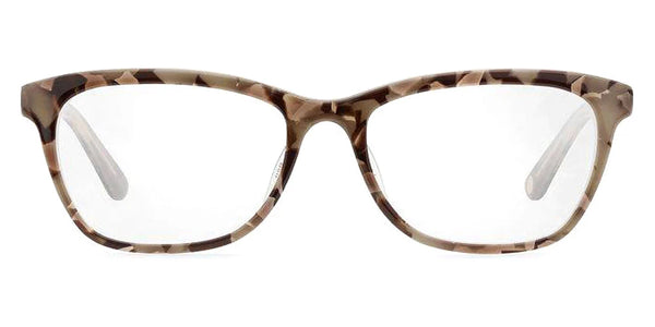 Tortoise / 53-17-140