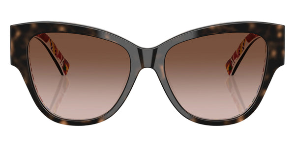 Havana on White Barrow / Brown Gradient / 54-16-145