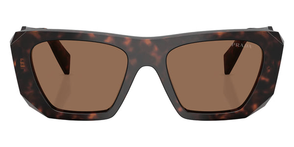 Root Tortoise / Dark Brown / 53-17-145