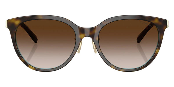 Havana on TIFFANY Blue/Pale Gold / Brown Gradient / 55-19-145