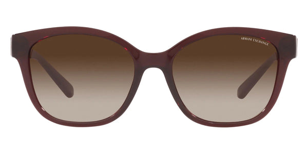 Shiny Transparent Red / Gradient Brown / 54-17-140