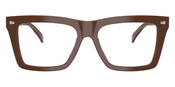 Nutmeg Solid / 54-17-145