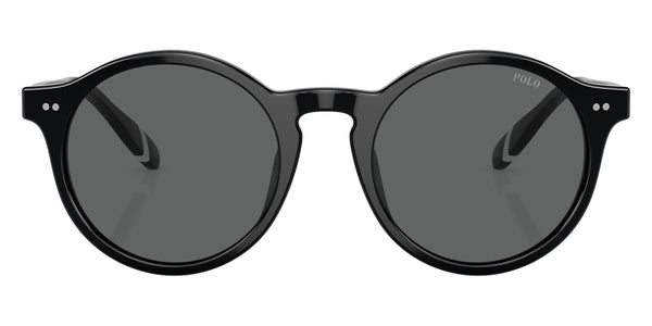 Shiny Black/Shiny Havana / Dark Gray / 53-21-145