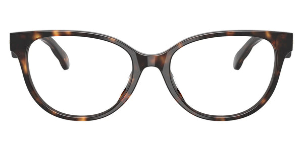 Honey Tortoise/Dark Tortoise / 53-17-145