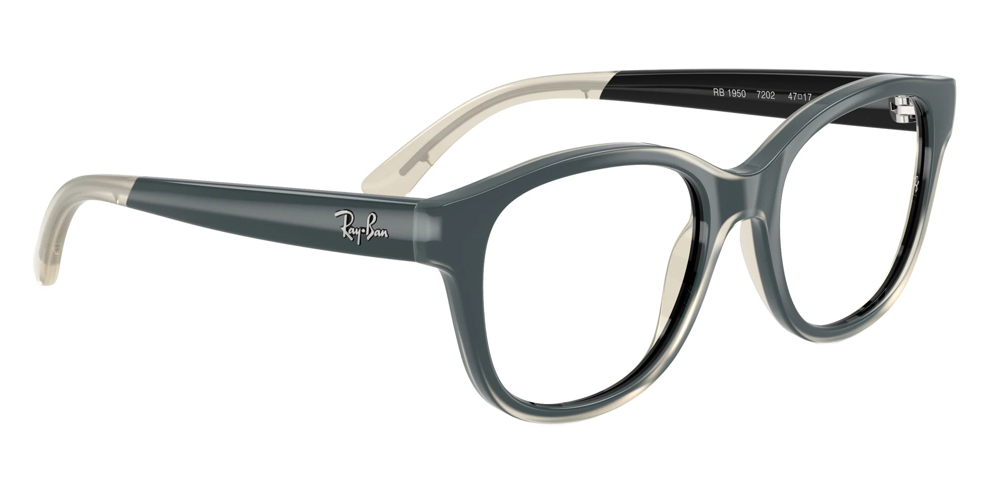 Ray-Ban RY1950 7202 46 - Black on Transparent