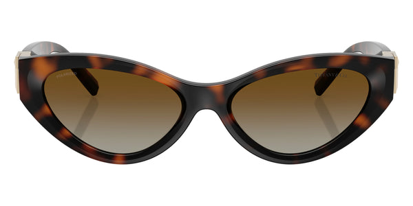 Havana / Polarized Brown Gradient / 54-17-140
