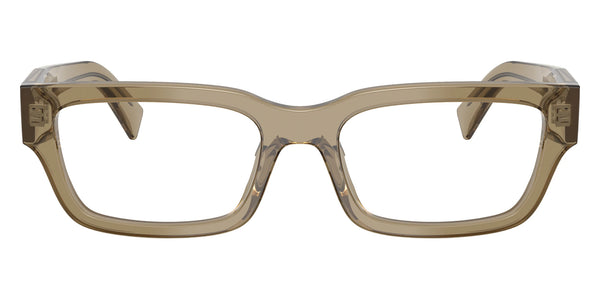 Transparent Bark / 54-19-145