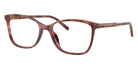 DOLCE & GABBANA DG3424 3444 54 - Havana Brown #id:dg34243444_s:102105