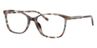 DOLCE & GABBANA DG3424 3445 54 - Havana Gray #id:dg34243445_s:104105