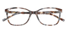 DOLCE & GABBANA DG3424 3445 54 - Havana Gray #id:dg34243445_s:104120