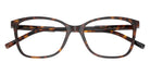 DOLCE & GABBANA DG3424 502 52 - Havana #id:dg3424502_s:106120