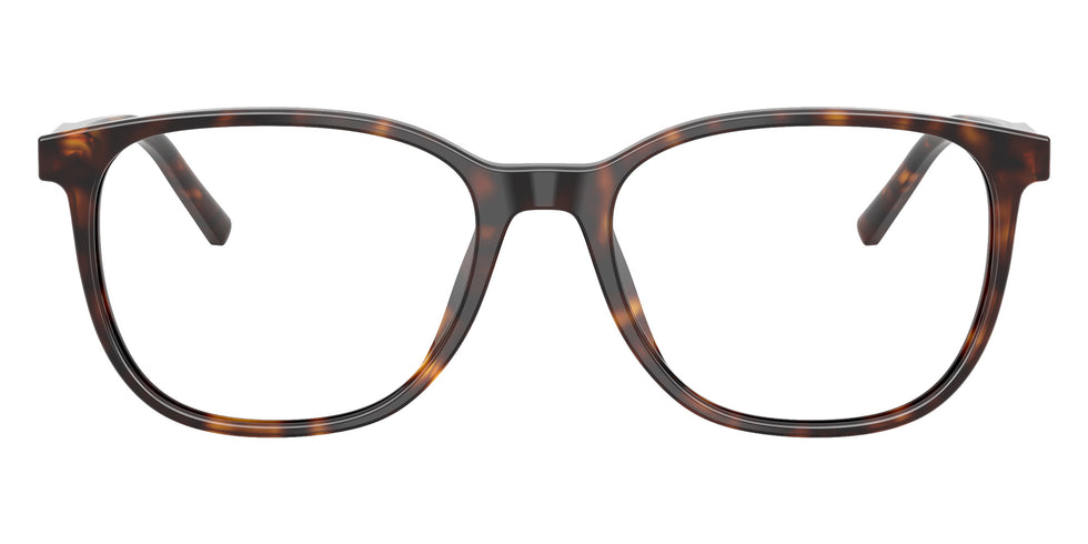 DOLCE & GABBANA DG3426 502 53 - Havana #id:dg3426502_s:104100