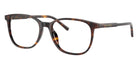 DOLCE & GABBANA DG3426 502 53 - Havana #id:dg3426502_s:104105